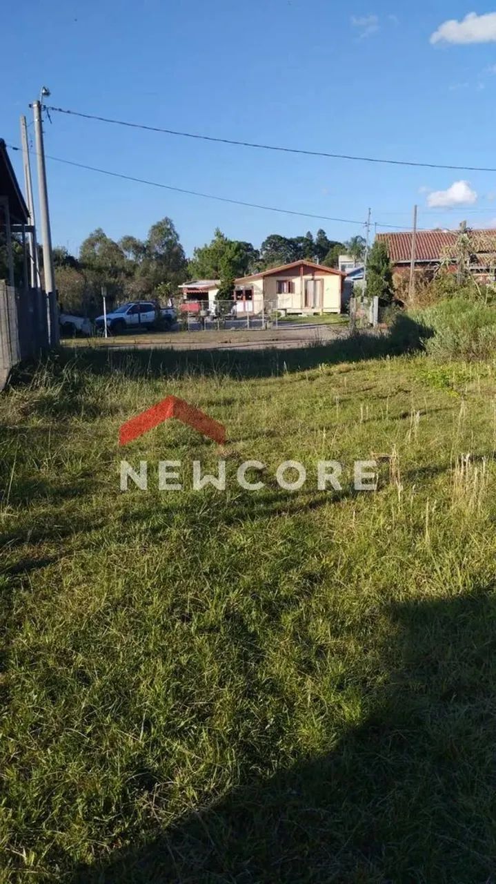 Lote em Centro - Centro - São Francisco de Paula/RS