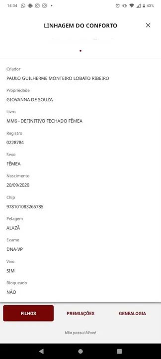 ÉGUA MM REGISTRADA! - Foto 4