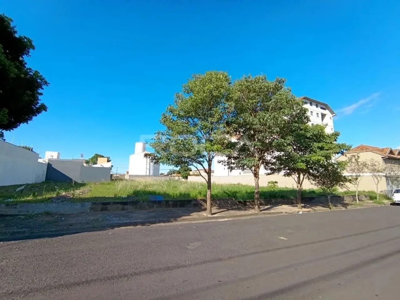 Terreno Padrão para Alugar na Vila Brasília - São Carlos
