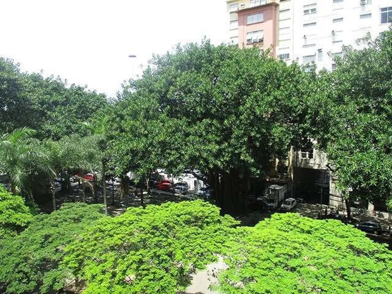 Sala/Conjunto para aluguel possui 30 metros quadrados em Centro - Rio de Janeiro - RJ - Foto 2