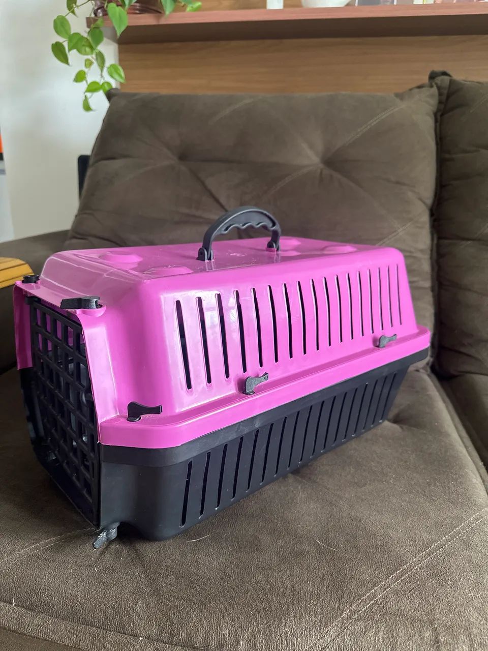 Caixa de transporte  - Foto 2