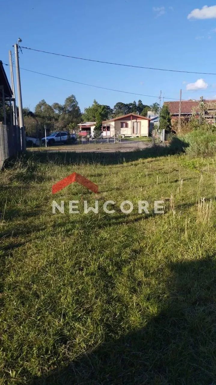 Lote em Centro - Centro - São Francisco de Paula/RS - Foto 4
