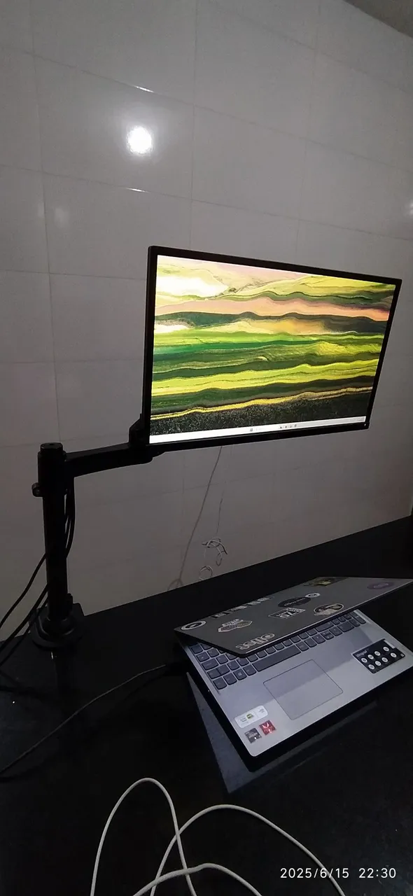 Monitor Dell 21 pol + Suporte articulado
