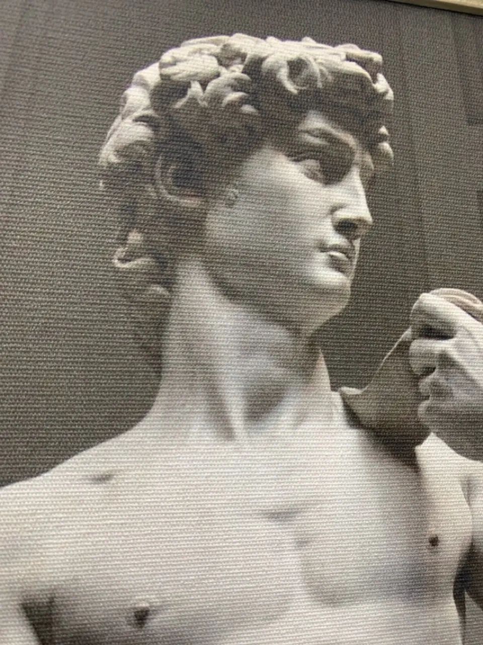 Canvas Davi de Michelangelo - Foto 3