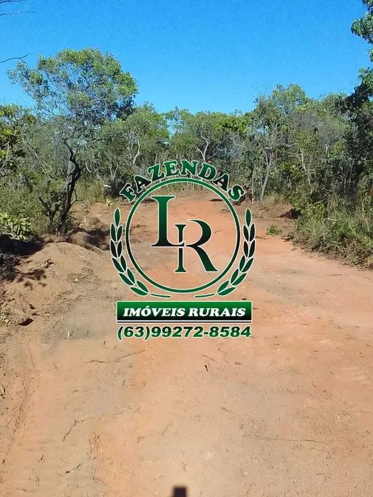 Fazenda 488 Alqueires Tocantins Bruta  - Foto 5