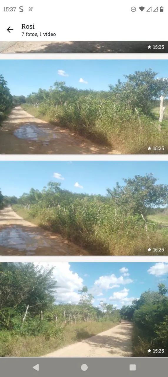 Foto - Trairi - 