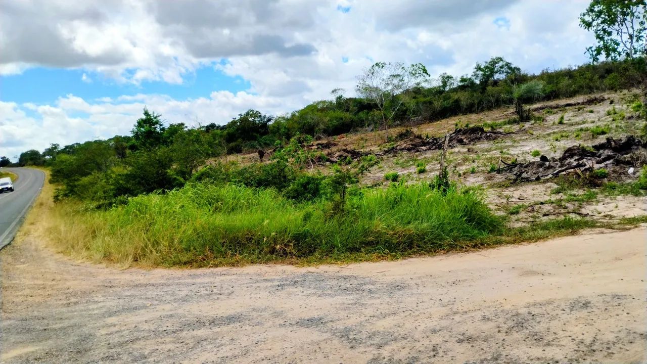 Terreno com 7 Tarefas  - Foto 2