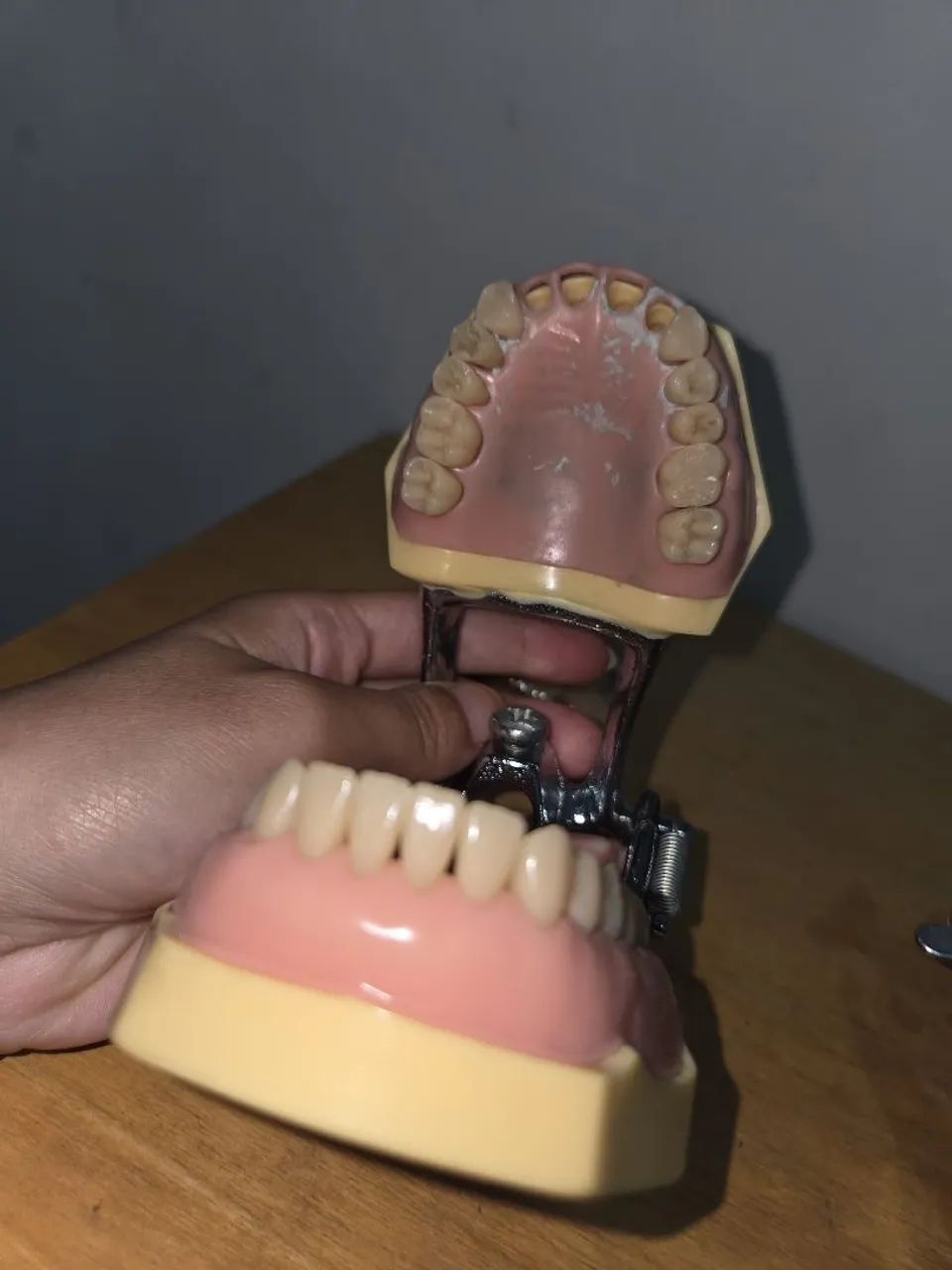 Manequins dentistica e perio  - Foto 2