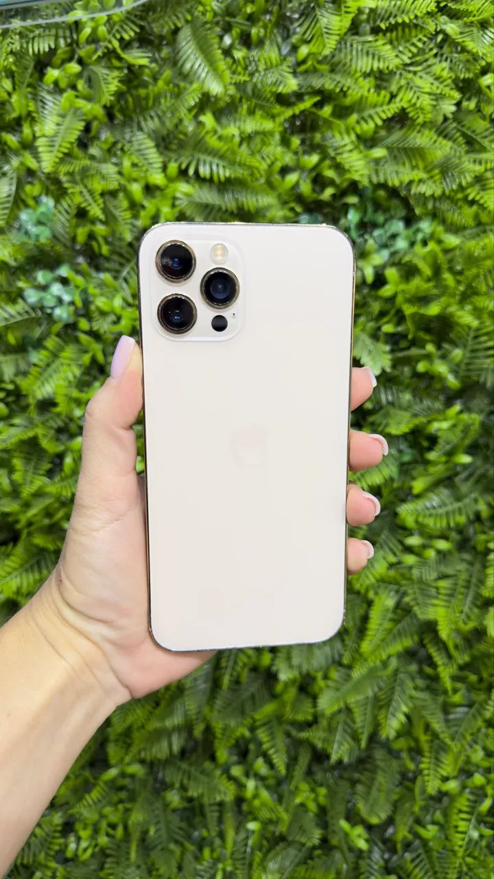 iPhone 12 Pro Max 