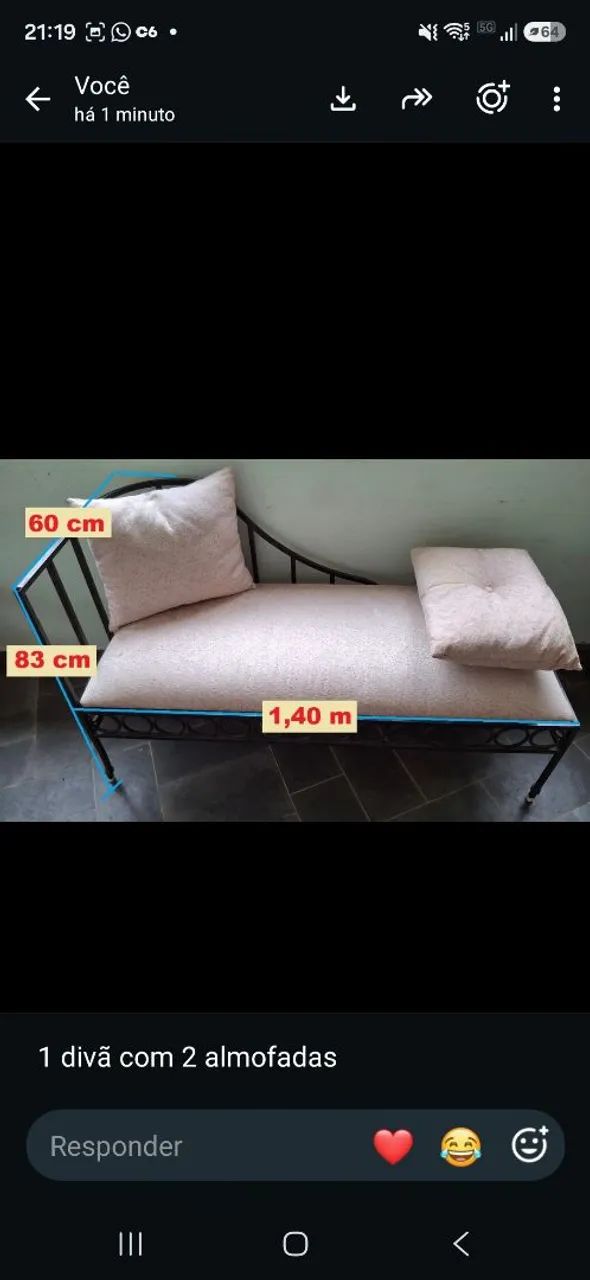 Vendo lindo sofá/Divã/espreguiçadeira de ferro e estofada, linda e em excelente estado