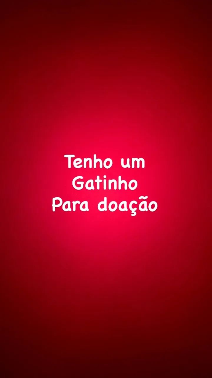 Gatinho