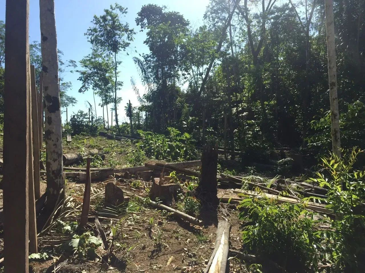 ...Vendo lote na estrada do cetur .