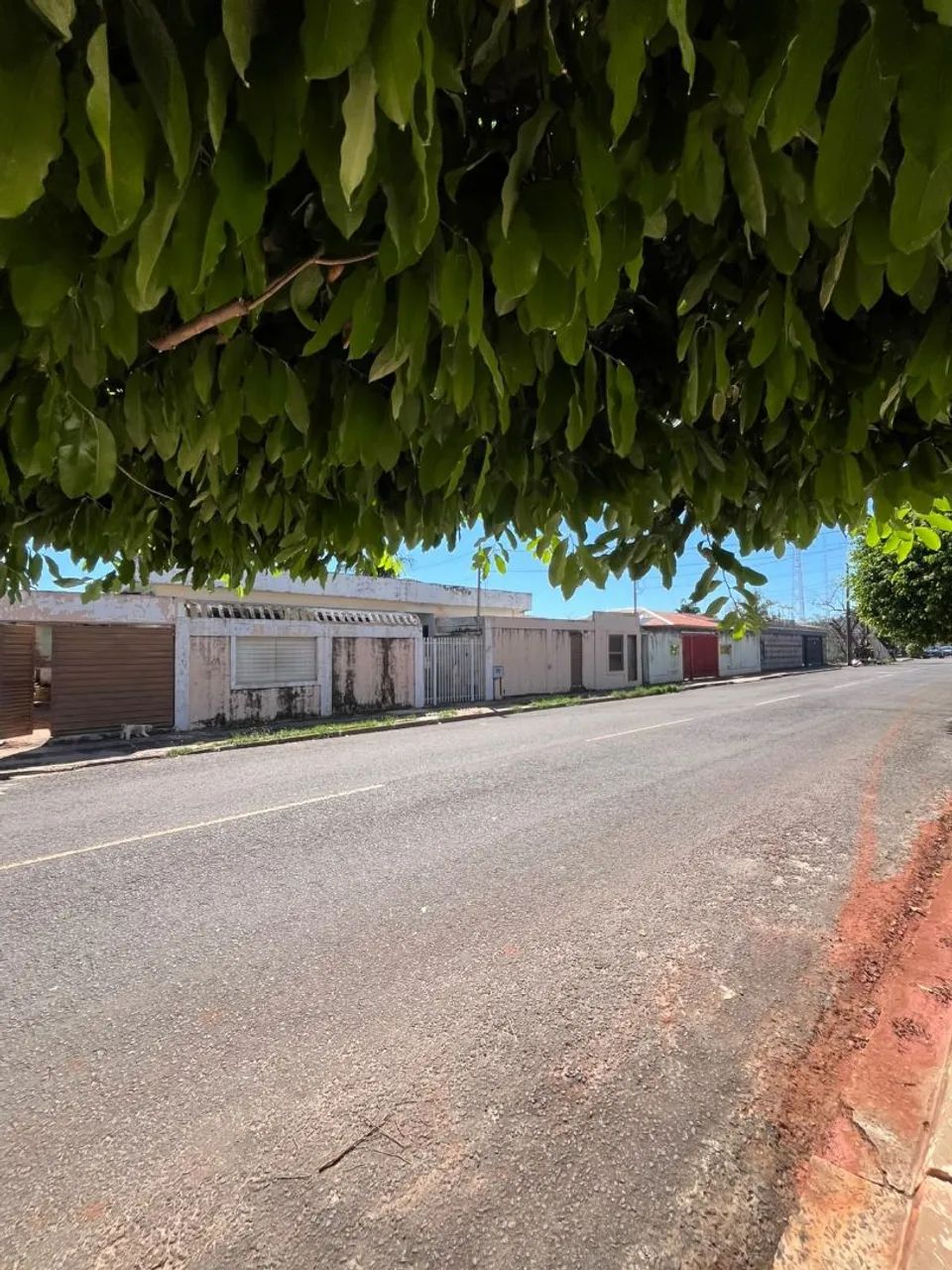 Imóvel de esquina vila Alba - Foto 2