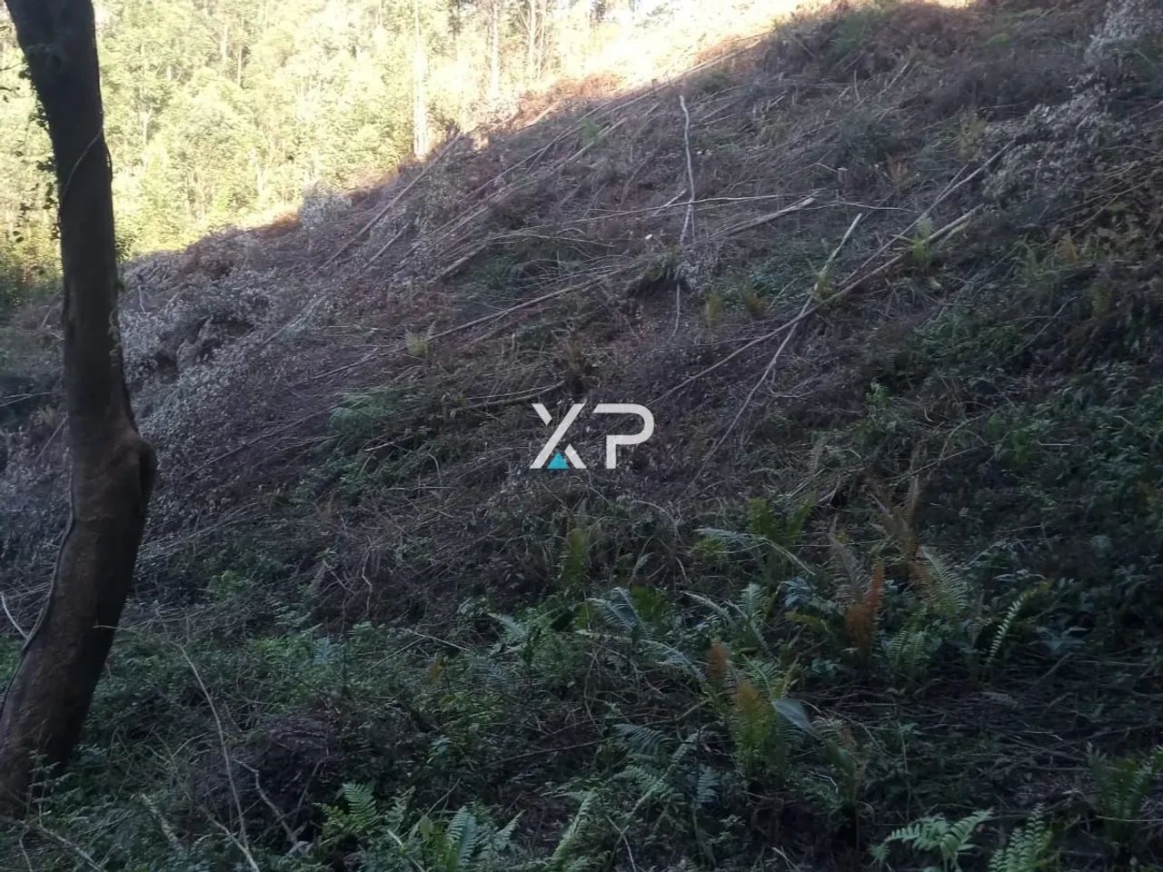 Sítio l Em Anitópolis a venda | - Foto 4