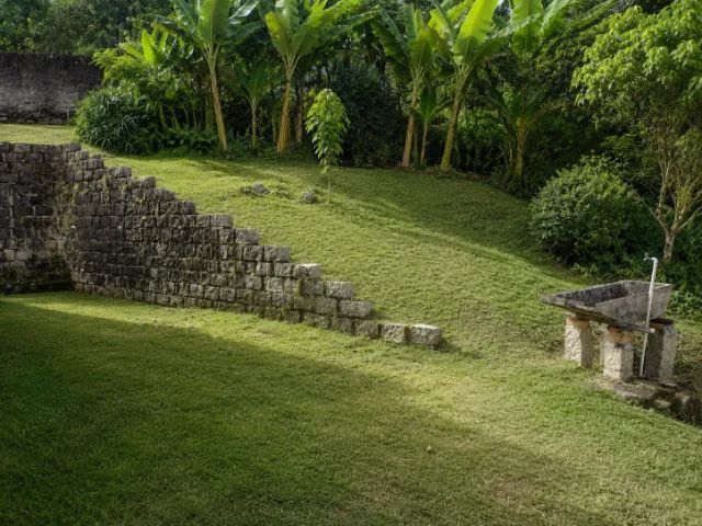 Jardinagem, jardineiro, podas, limpezas de terrenos - Foto 4