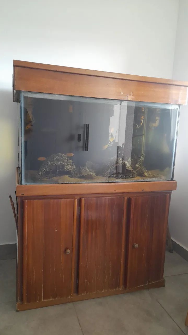 Aquário completo