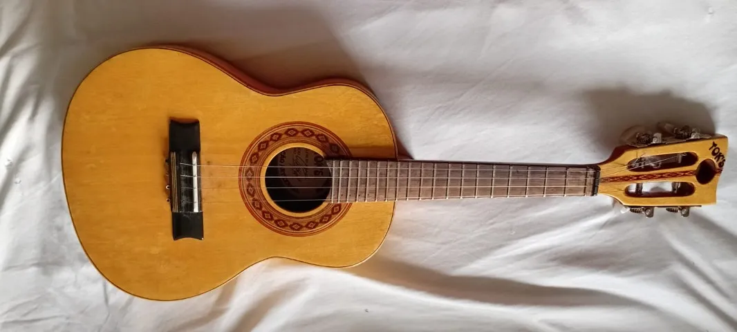 Cavaquinho Tgc01 Terra Brasil - Instrumentos musicais - Vila