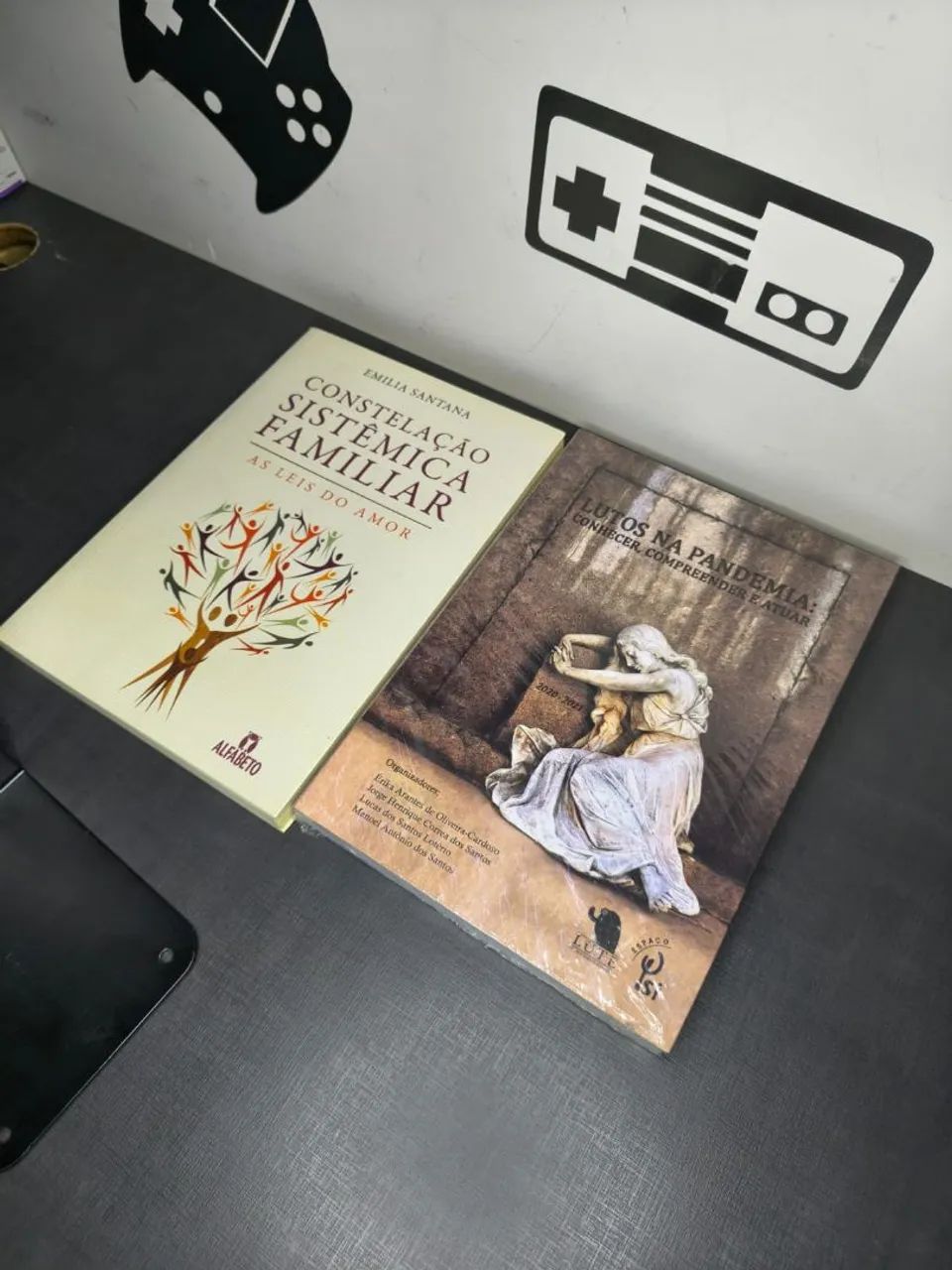 Livro - Temática Constelação Famíliar
