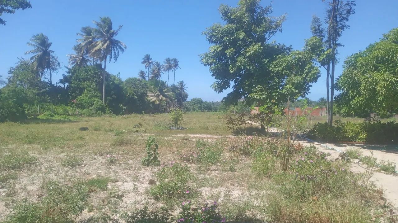 Venda ou aluguel de terreno - Foto 5