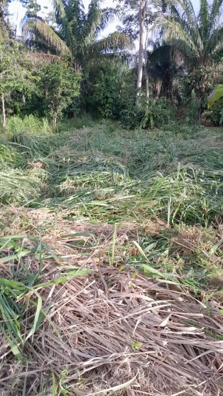 Terreno barato  - Foto 2