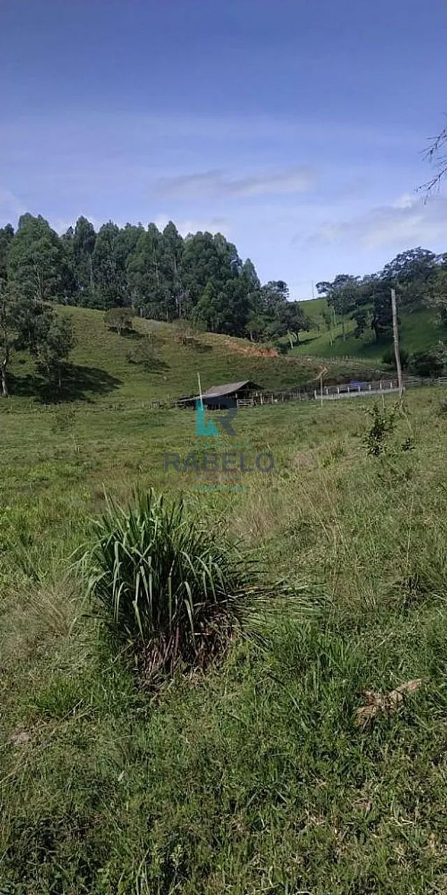 CHÁCARA SEM BENFEITORIAS E FÁCIL ACESSO EM CUNHA-SP - Foto 2