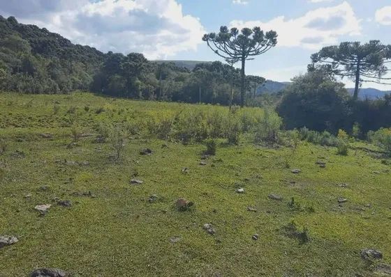 Fazenda/Sítio/Chácara para venda tem 580000 metros quadrados em Perico - São Joaquim - SC