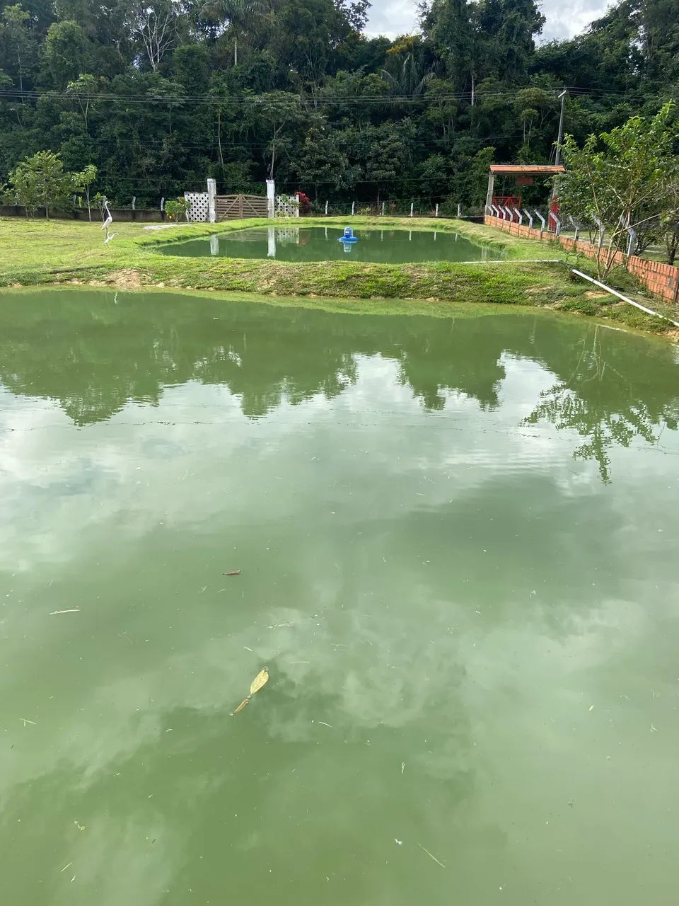  Vendo sítio! Aceito proposta,ou casa em Manaus , - Foto 4