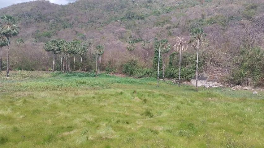 Sítio a venda em Pacatuba de 48,7 hectares  - Foto 2