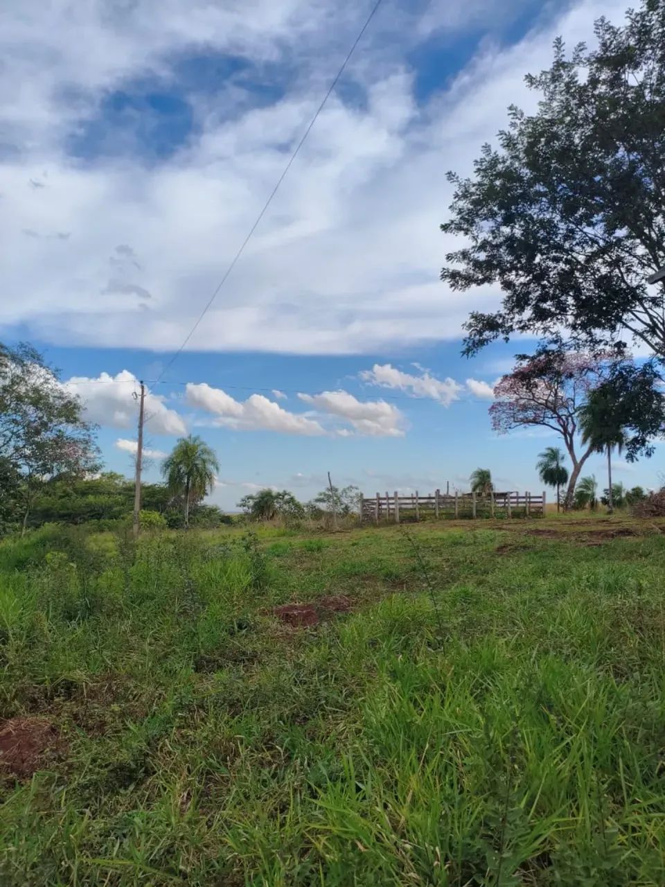 CÓD 593  Chácara à Venda | Sidrolândia /MS - Foto 3