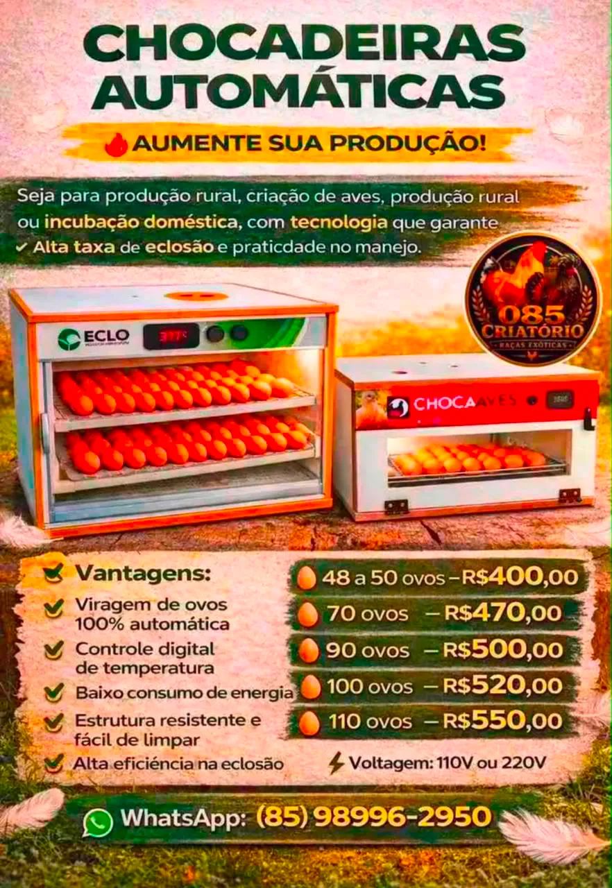 Chocadeira chocaaves 