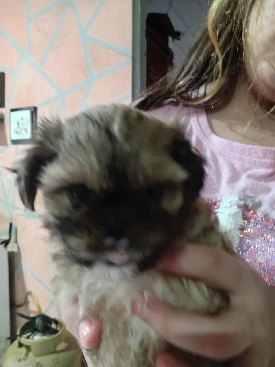 Vendo chitsu micro