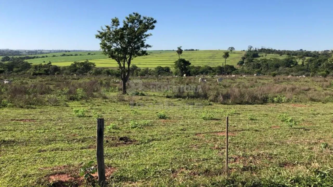 Fazenda de 23,25 Alqueires Rica em Água e Pastagem - Foto 5