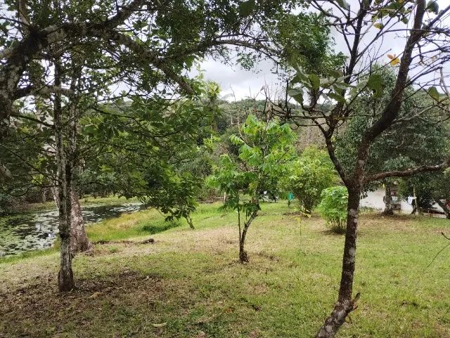 chacara com terreno de 59000m2 em aldeia camaragibe