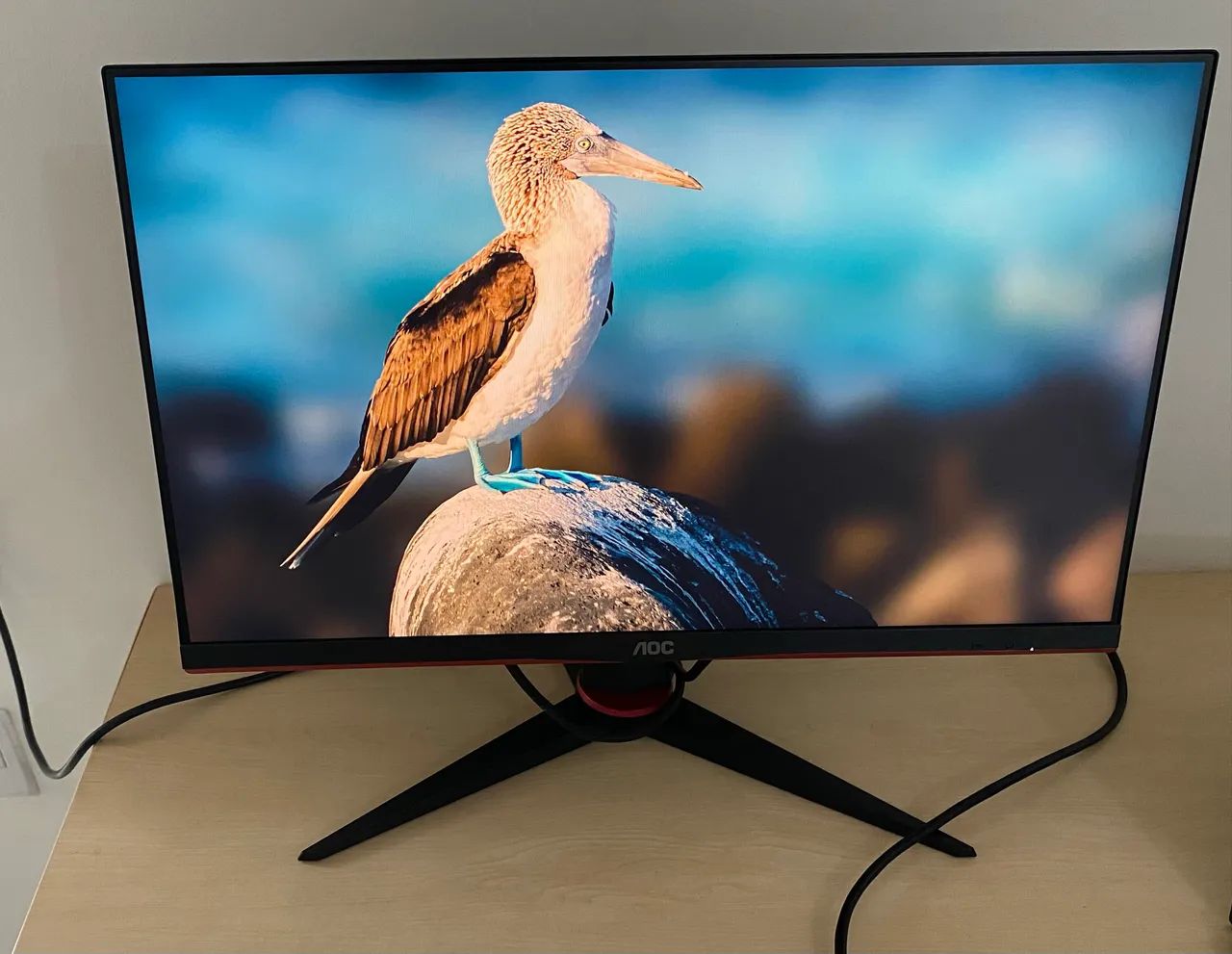 Monitor OAC 24? 144hz