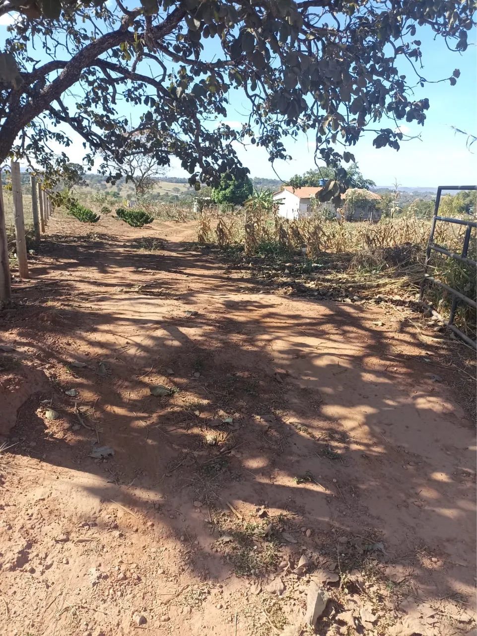 Chácara a 1 km de Caldazinha  - Foto 5