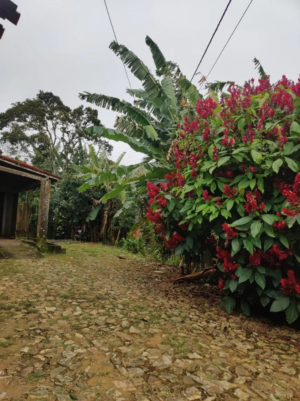 Sítio com casa - Foto 2