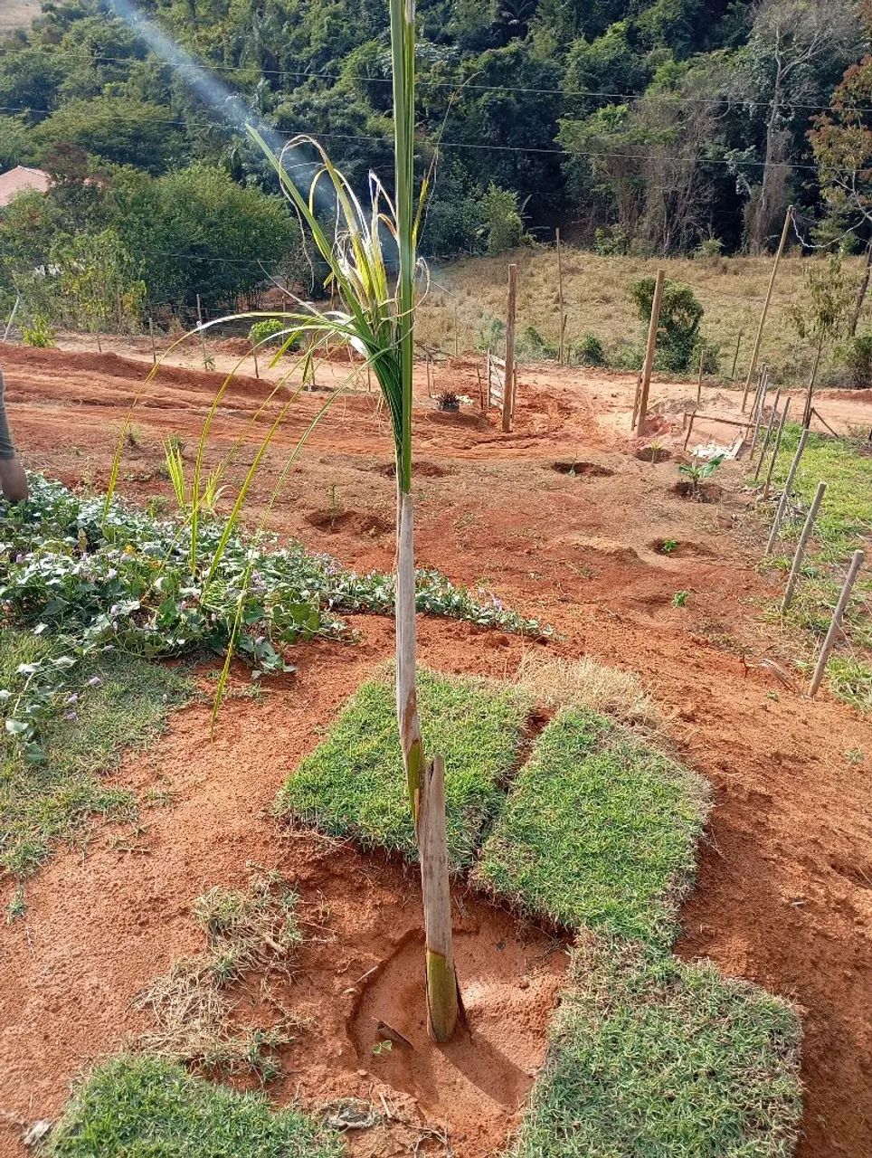 Chácara 3mil MTS  condomínio Aldeia  - Foto 3