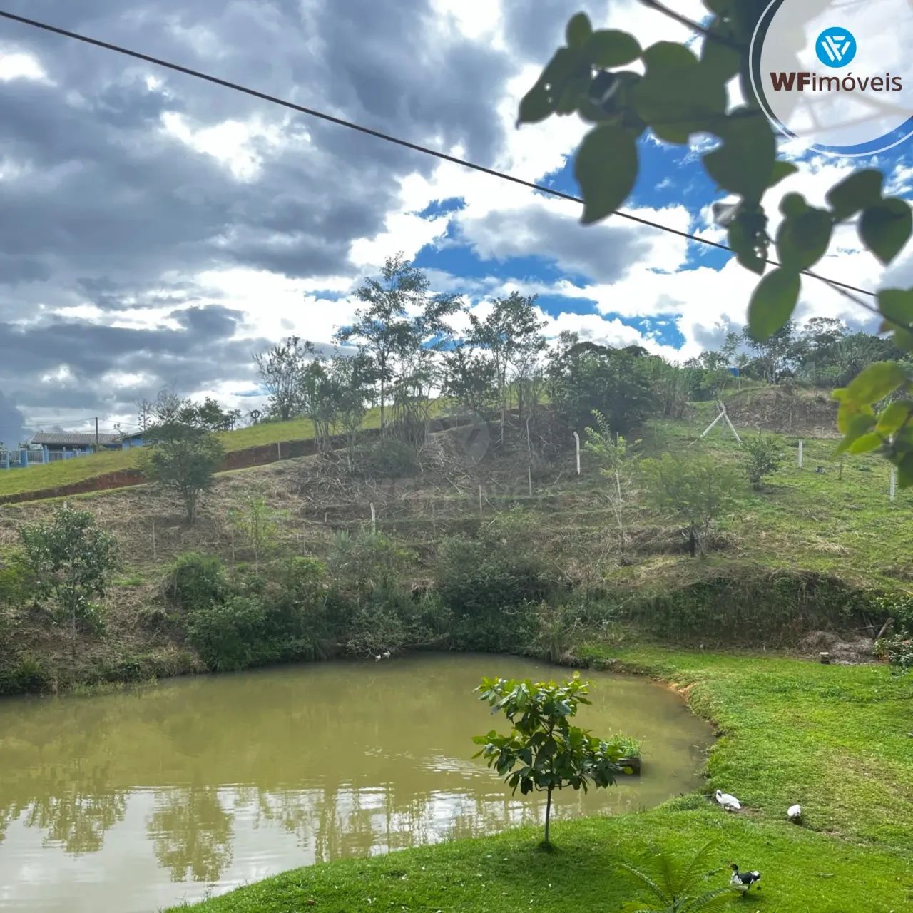 Lindo Sítio com 3 dormitórios disponível para venda. - Foto 4