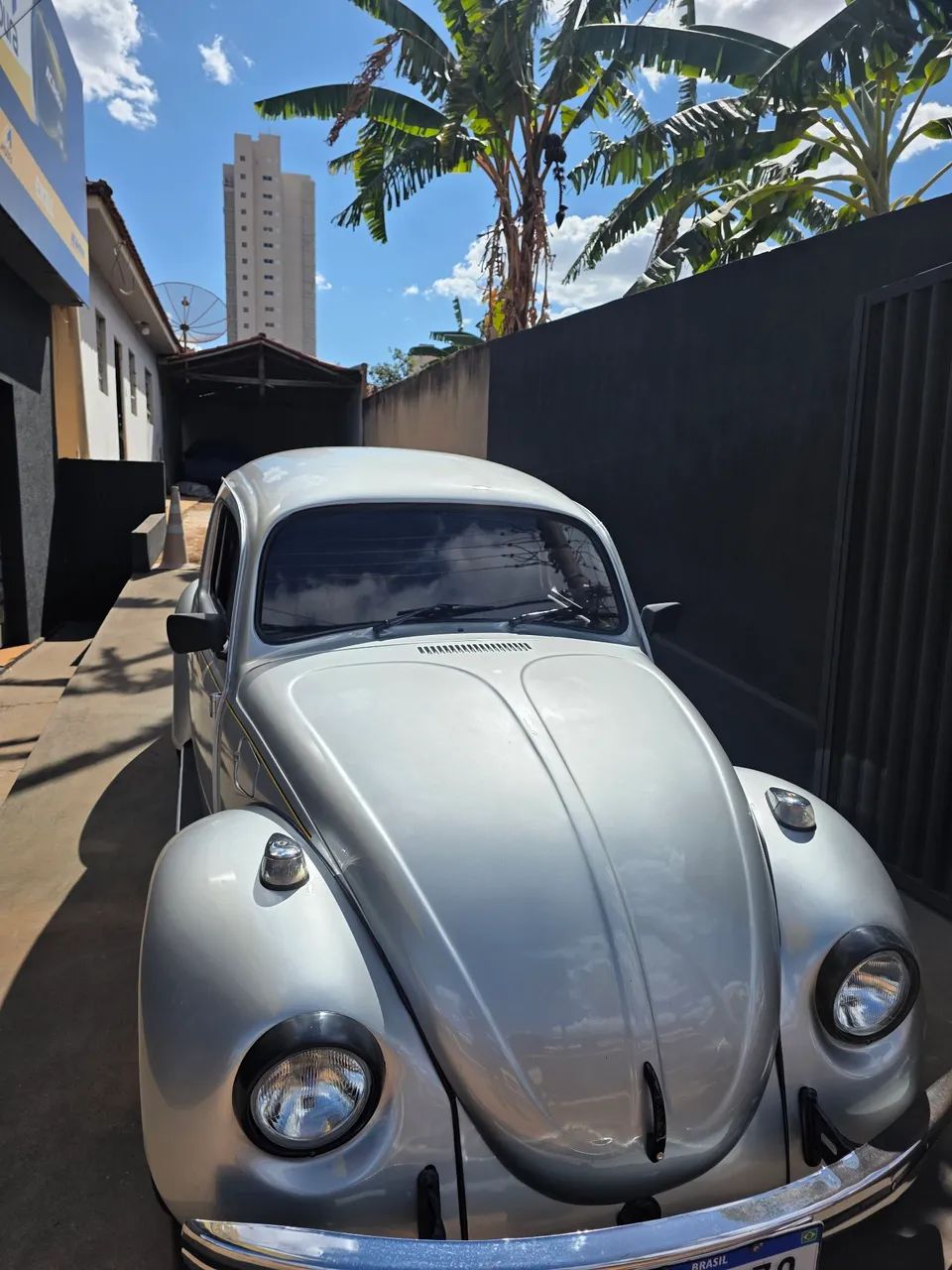 Volkswagen Fusca Fusca 1994