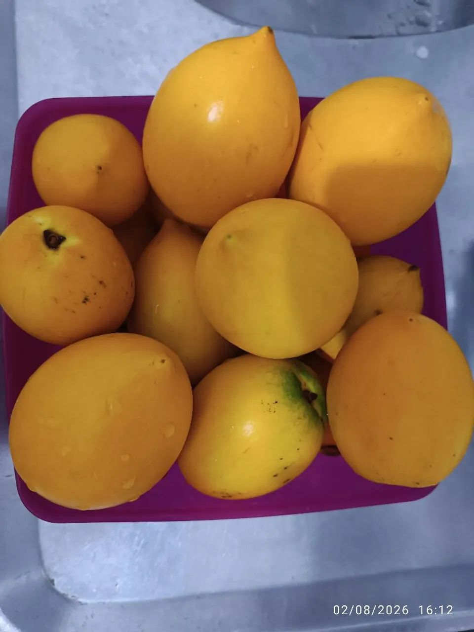 Fruta ABIU