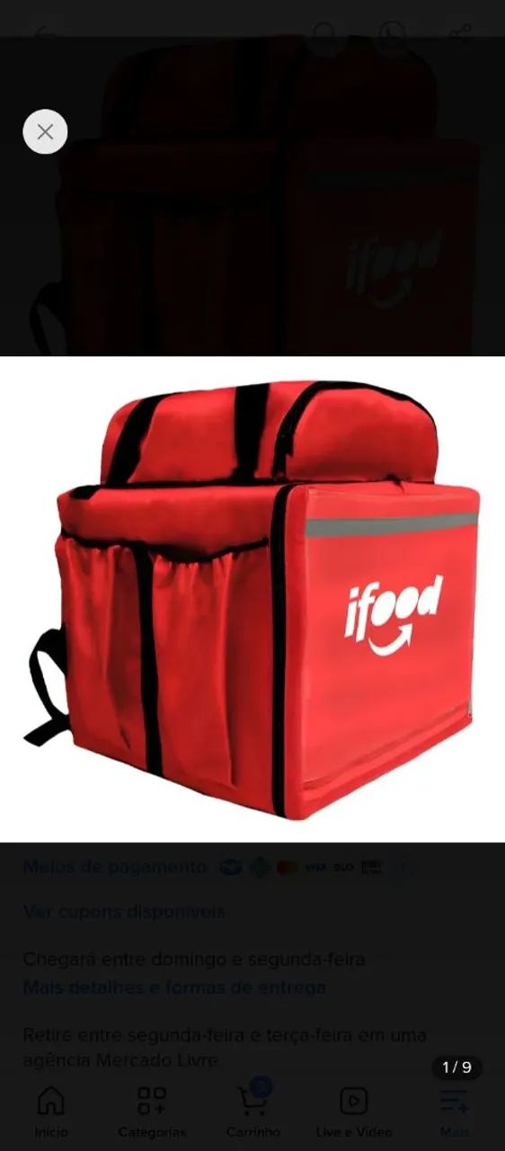 Bag de entrega com caixa de Isopor