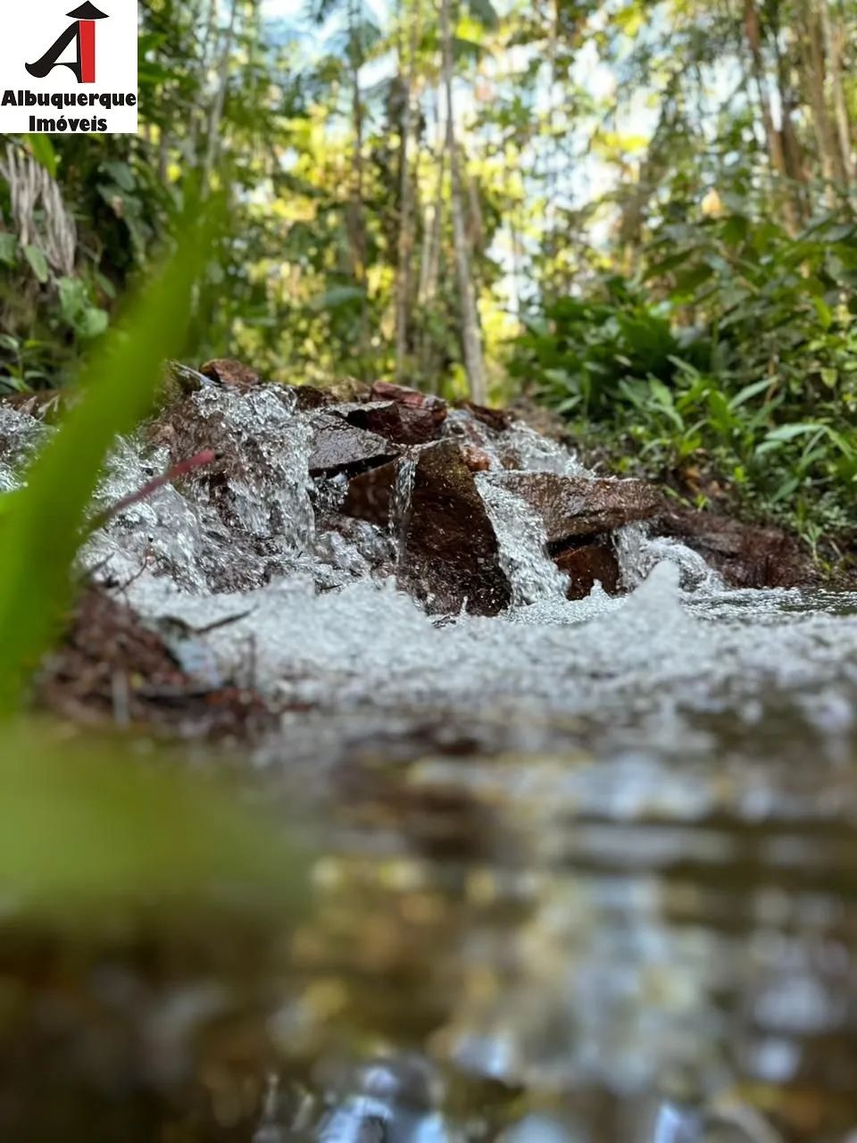 CHACARA RURAL em ICATU - MA, Baiacui - Foto 2