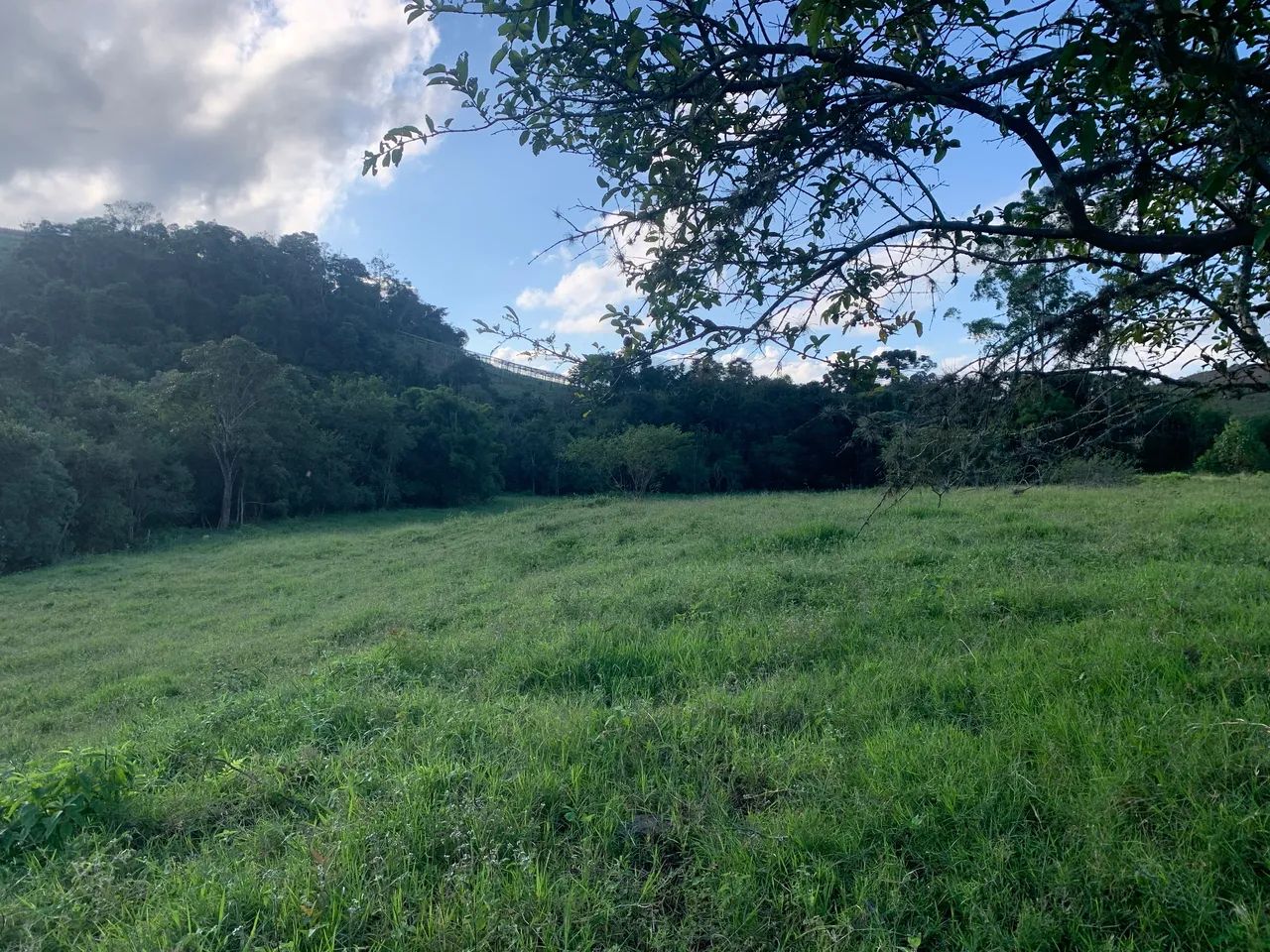 Vendo lotes em Alfredo Vasconcelos - Foto 4