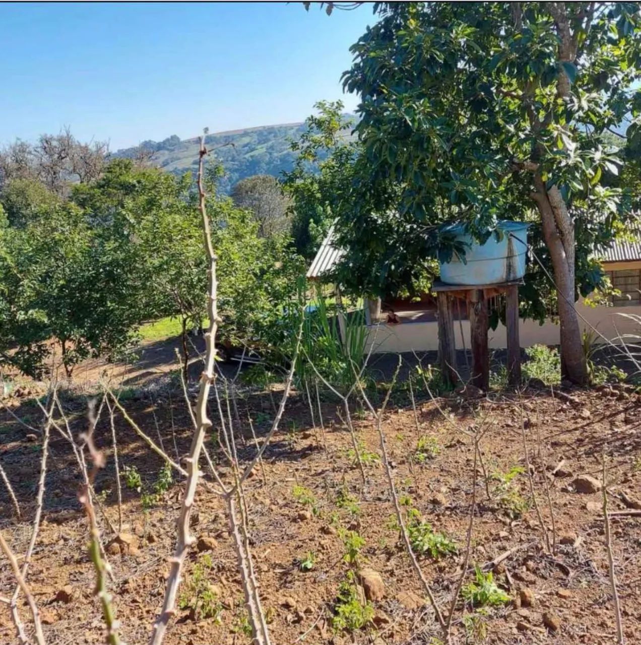 Venda de Terreno 