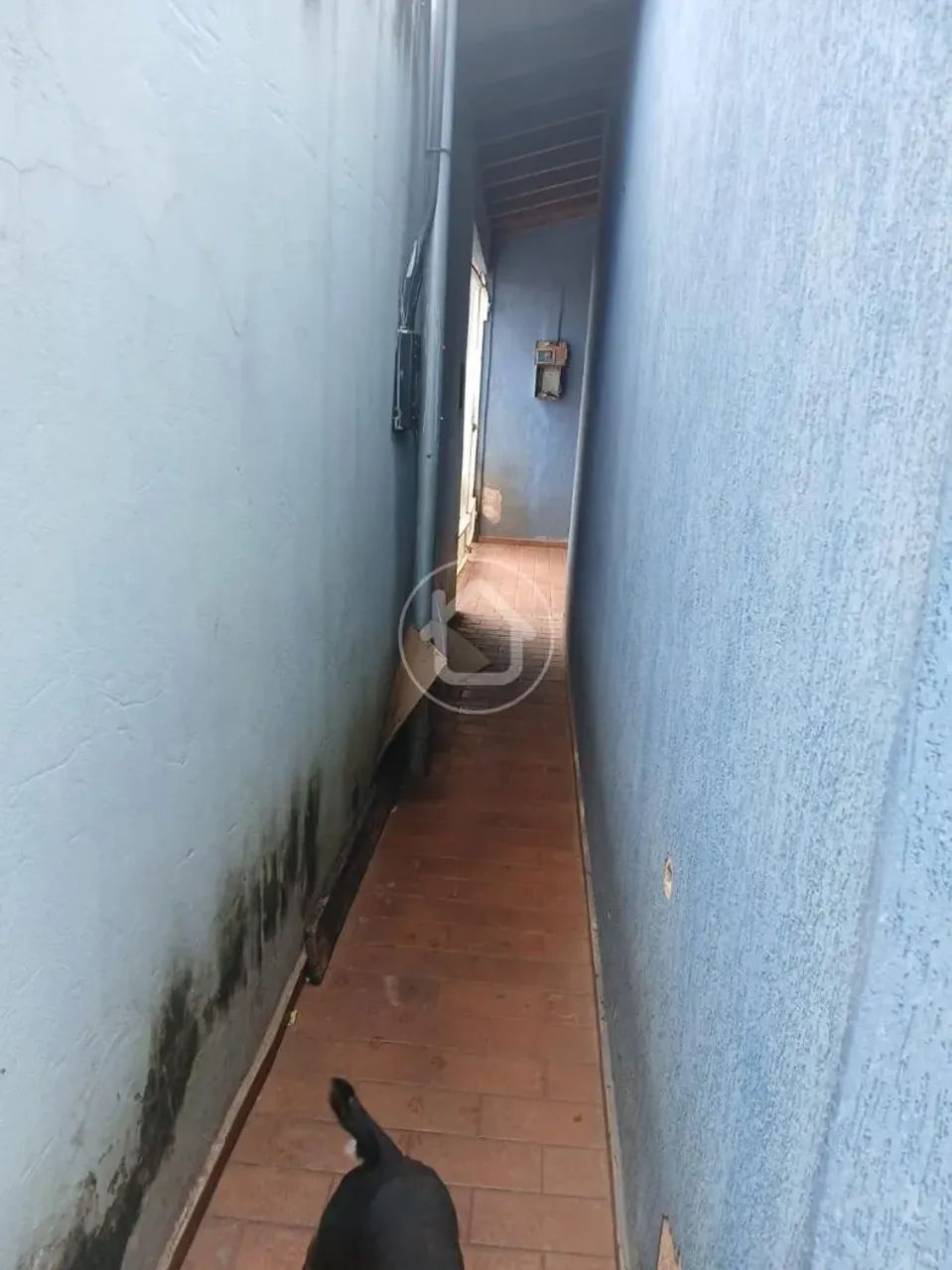 CASA COM SUITE E 2 QUARTOS NO IRACY COELHO - Foto 3
