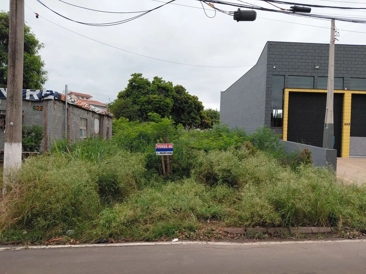 Foto - Paulínia - João Aranha