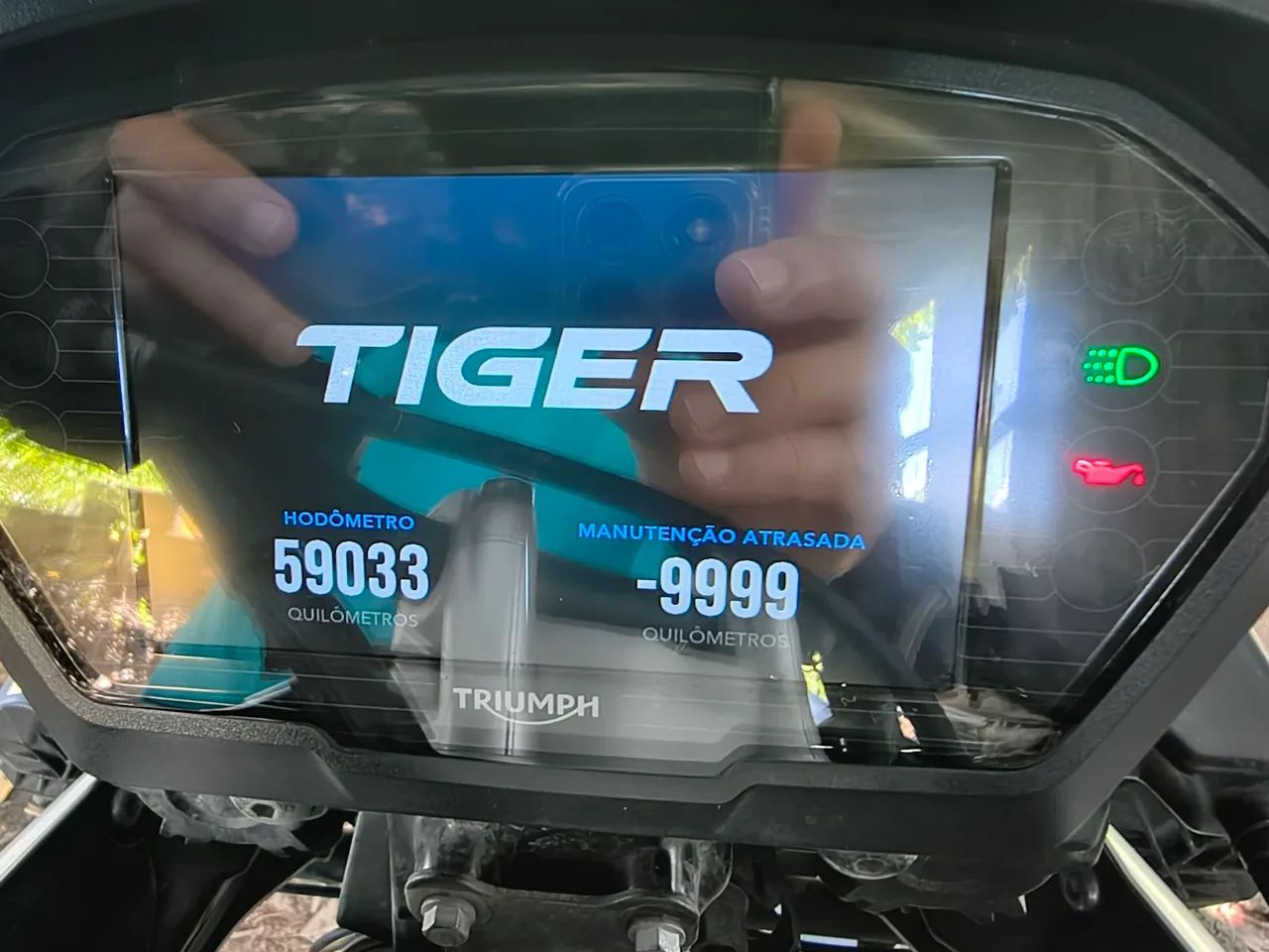 Tiger 800 - Foto 5
