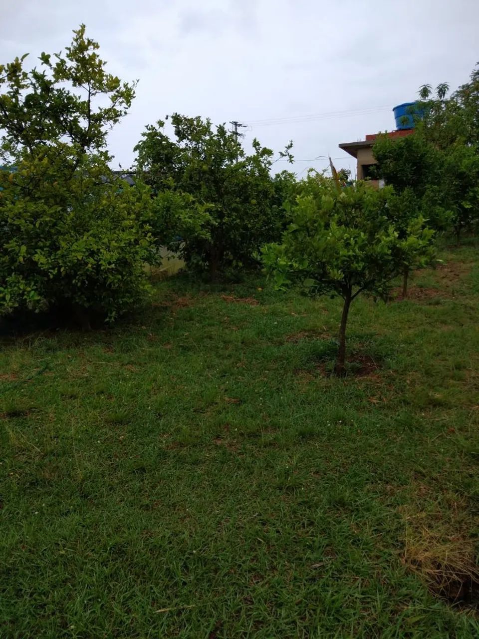 Vendo sitio em aracoiaba a serra  - Foto 3