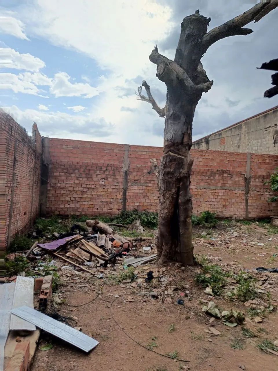 Terreno  - Foto 2