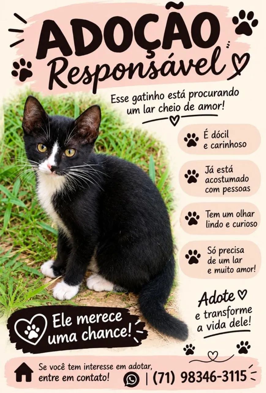 Adoção  responsável 